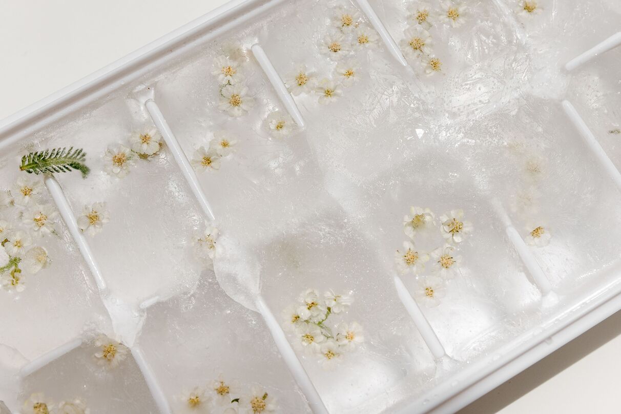 IceTray Press-Type Ice Cube Mold Box